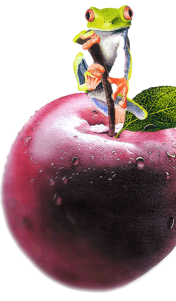 frog&apple_animation